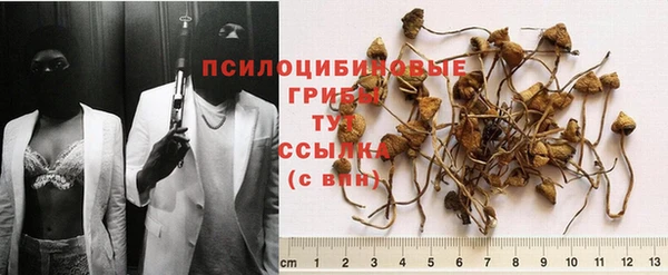 MDMA Белокуриха