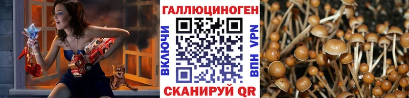 KRAKEN ссылки где можно купить наркотик Верея Псилоцибиновые грибы Psilocybe